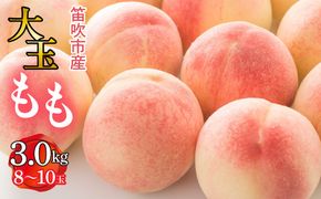 【2026年発送★先行予約】笛吹市産　大玉もも　3.0kg(8～10玉) 227-009-26y