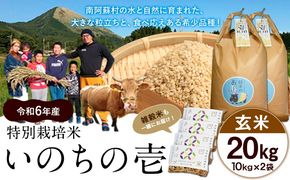 新米 令和6年産 特別栽培米 いのちの壱(玄米)20kg 10kg×2 雑穀米付き《30日以内に出荷予定(土日祝を除く)》 熊本県 南阿蘇村 熊本県産 虹色のかば 雑穀米---sms_inci6_30d_24_43000_20kg---