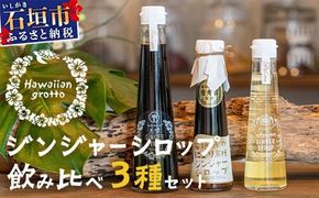 ジンジャーシロップ飲み⽐べ3種セット(200ML×1本、120ML×2本)　HW-5 【沖縄県石垣市 沖縄 沖縄県 琉球 八重山 八重山諸島 石垣 石垣島 送料無料 ⽯垣島産⽣姜 生姜 シロップ ジンジャー ジンジャーシロップ グラニュー糖 黒糖 砂糖 ⾚唐⾟⼦ 果汁 塩 ⽯垣の塩 レモングラス レモン フルーツ ミント ギフト 国産】