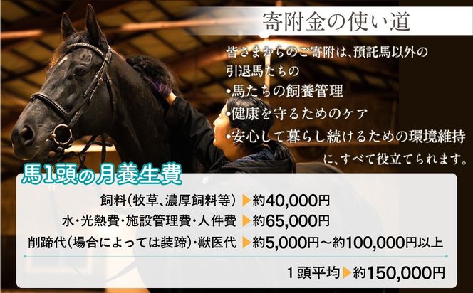 【千円コース 返礼品無し】より多くの引退馬の幸せな余生を願う　Yogiboヴェルサイユリゾートファーム BRTV024-01