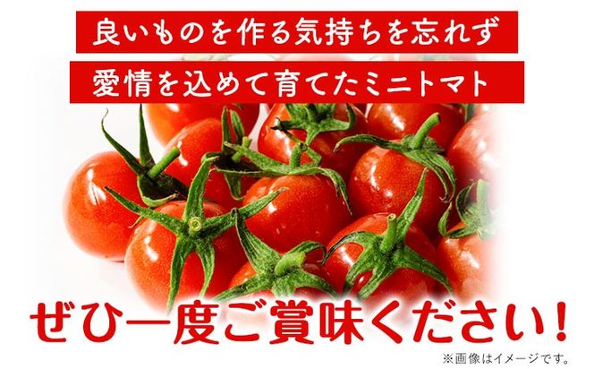 ミニトマト 約1kg 出原農園 《1月上旬-5月末頃出荷》 岡山県 矢掛町 野菜 ミニトマト もぎたて 新鮮---osy_iktmt_af15_24_8500_1---