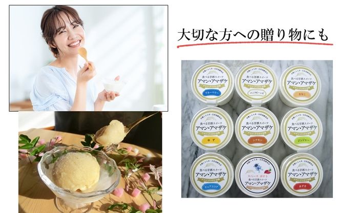 まるでアイス！新感覚の“食べる甘酒スイーツ”アマン・アマザケ 9種9個入り_2533R