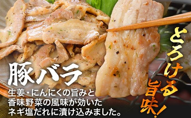 牛豚味付け焼肉セット 1.2kg 牛ハラミ 牛バラ 豚バラ 味付き 小分け 保存 醤油 にんにく タレ 子供 生姜 香味野菜 ネギ塩 キャンプ バーベキュー 福岡県 福岡 九州 グルメ お取り寄せ