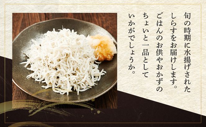 まいわしみりん干しとしらす干し いわし まいわし みりん干し 手開き 魚の旨み タレ パック詰め しらす セット ごはんのお供 おかず 九十九里町 千葉県