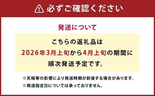 【先行受付】特別栽培不知火 3kg サイズミックス 不知火 しらぬい  柑橘 果物 みかん フルーツ デザート【2026年3月上旬から4月上旬発送予定】