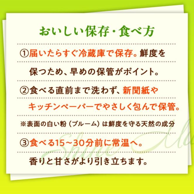 訳あり シャインマスカット 晴王 2房 合計1.0kg以上 ぶどう 葡萄 シャイン マスカット 岡山 岡山県産 桃太郎御一行 2026年 先行予約