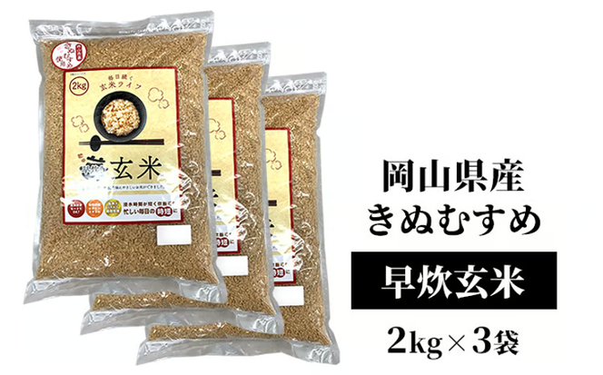 令和7年産 早炊 玄米 きぬむすめ 2kg×3袋 岡山県産　お米 国内産 ご飯 おにぎり お弁当 和食 国産 産地直送 玄米食 玄米の栄養素 [№5735-1857]
