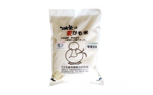 愛がも米 「 コシヒカリ 」 2kg ( 玄米 ) 米 コメ こめ こしひかり 令和7年産 除草剤不使用 農薬不使用 化学肥料不使用 [AI003ci]