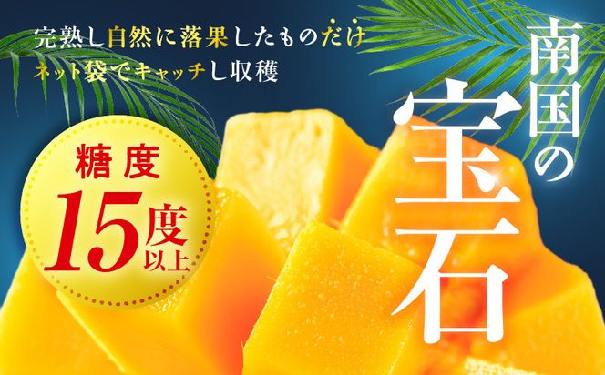宮崎県産 太陽のタマゴ 2L×1玉