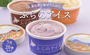 北海道富良野市 ふらの アイスクリーム 20個 5種×4個 (ディームファクトリー) アイス デザート 北海道 富良野市 道産 直送 ふらの 贈り物 ギフト