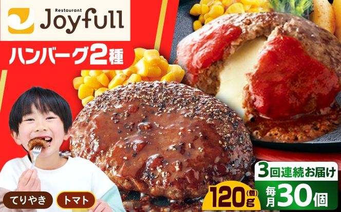 【全3回定期便】ジョイフル ハンバーグ スペシャル 詰め合わせ 2種 30個 セット《築上町》【株式会社　ジョイフル】[ABAA078]