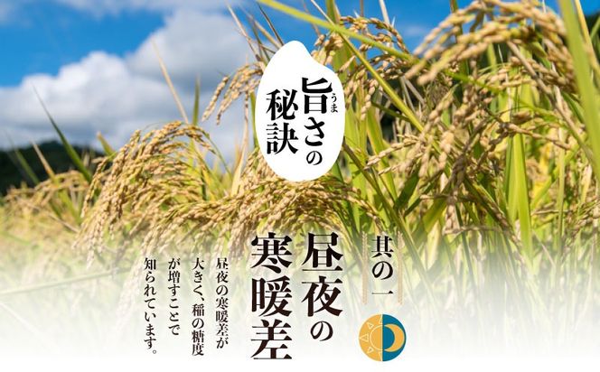 【令和７年産新米・予約】山梨県都留市産こしひかり 選べる容量[5kg・10kg] FB038.FB039