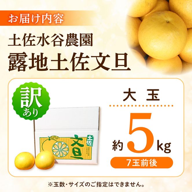 【先行予約】文旦 家庭用大玉 5キロ 5kg（3L～上限なし：7玉前後）〈2027年1月20日～発送〉皮むき器付き 訳あり 文旦 ぶんたん フルーツ 果物 高知 土佐市 大玉【土佐水谷農園】 [BQBD008]