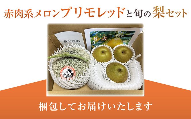 【先行予約】925.【ふるさと納税】【赤肉系メロン】プリモレッド (メロン) と旬の梨セット※離島への配送不可（北海道、沖縄本島は配送可能） 313726_BQ003
