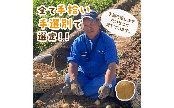 【予約：2026年2月上旬から順次発送】【選べる3サイズ】宇野さんの手拾い、手選別の越冬ジャガイモ 1kg ( 芋 野菜 選べる )【167-0001-2026】