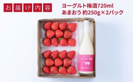 【2024年2月上旬より順次発送】【春】ヨーグルト梅酒720ml ×あまおう 約250g×2パック 糸島市 / 南国フルーツ株式会社 [AIK013]