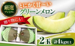 【2026年7月上旬〜発送】【平成新山メロンPREMIUM（とみちゃん厳選）】グリーンメロン 2玉 / メロン めろん 果物 フルーツ / 南島原市 / うえだメロン園 [SAD003] 