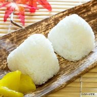 【ふるさと納税】”農薬不使用栽培米” 「おむすび」 4種セット（塩・梅・但馬鴨スモーク・但馬鴨ラー油） 計12個（各3個） お米 米 ごはん ご飯 おにぎり うめ ウメ 鴨肉 お肉 惣菜 朝食 お弁当 冷凍 兵庫県産 国産 兵庫県 新温泉町 送料無料