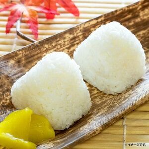 【ふるさと納税】”農薬不使用栽培米” 「おむすび」 4種セット（塩・梅・但馬鴨スモーク・但馬鴨ラー油） 計12個（各3個） お米 米 ごはん ご飯 おにぎり うめ ウメ 鴨肉 お肉 惣菜 朝食 お弁当 冷凍 兵庫県産 国産 兵庫県 新温泉町 送料無料