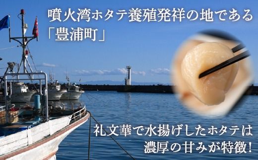 【禁輸に負けない】ホタテ 北海道 豊浦 噴火湾 礼文華 約1kg 帆立 貝柱 2年貝  TYUAD001