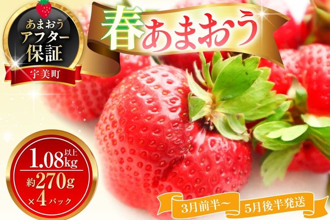 いちご あまおう 春あまおう 270g以上 4p 計1080以上 【3月前半〜5月後半発送】 期間限定 [ストロベリーファーム 福岡県 宇美町 um40azp070006] 先行予約 イチゴ 苺 フルーツ 果物 果実 甘い 小分け あまい 4パック 1kg