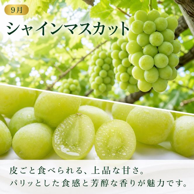 定期便 8・9月発送 紀州有田産旬のぶどうセット（種なし巨峰×約2kg・シャインマスカット×約2kg）  AN065