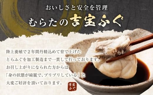 【3ヶ月定期便】とらふぐ「鍋」セット 吉宝ふぐ『焼きひれ/特製ポン酢/もみじおろし付き』ふぐ 河豚 フグ とらふぐ トラフグ 鍋 ふぐ鍋 熊本県 上天草市