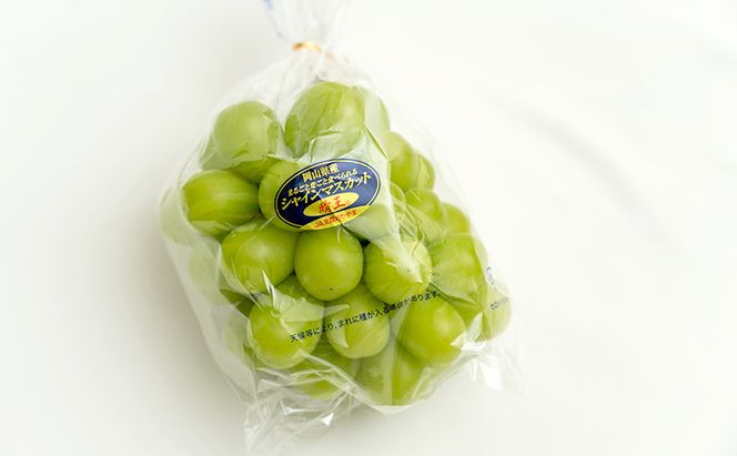 ぶどう 2026年 先行予約 3回お届け！  晴れの国 岡山の シャイン マスカット  晴王 ×3回！(各1房)  葡萄  岡山県産 国産 フルーツ 果物 ギフト 食後 高級ぶどう 大粒 種なし 甘みが強い 皮ごと 