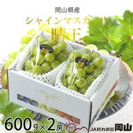 【2026年8月下旬より発送】岡山県産 シャインマスカット 晴王 600g×2房 ぶどう 葡萄 ブドウ フルーツ 果物