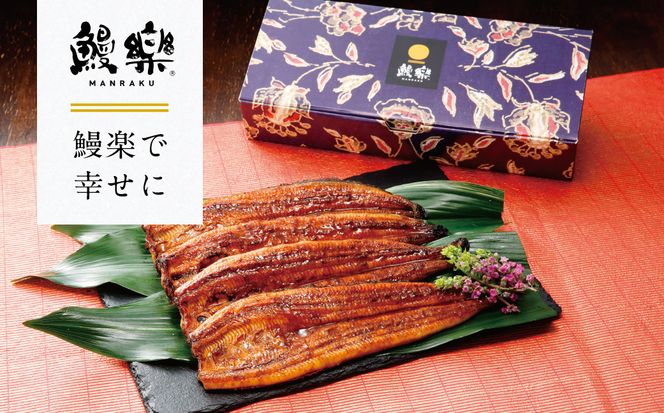 【先行予約】 うなぎ蒲焼4尾セット（190g×4尾）合計760g　たれ・山椒付き  鰻 うなぎ ウナギ 国産 冷凍 うな重 蒲焼 丑の日 鰻楽 熊本県 八代市 【2026年10月中旬より順次発送】