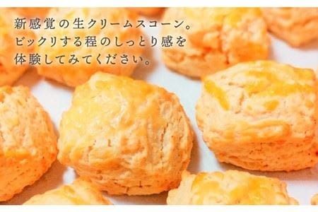 【 贈答用 】明太 チーズ スコーン 12個セット 『 ふくのや 』の 明太子 使用《糸島》【キナフク】焼き菓子 焼菓子 洋菓子 スイーツ パン [AFA010]