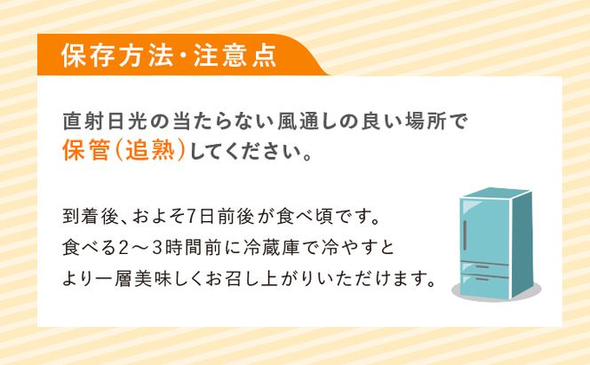 【2026年7～9月 全2回】計2回 ふらの 夏× 秋メロン 定期便 ≪計2玉≫ 北海道 富良野市 (中山農園) メロン フルーツ 果物 
