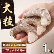 至福の大粒 むきえび　背ワタ処理済 1kg【2026年11月より順次発送】　えび