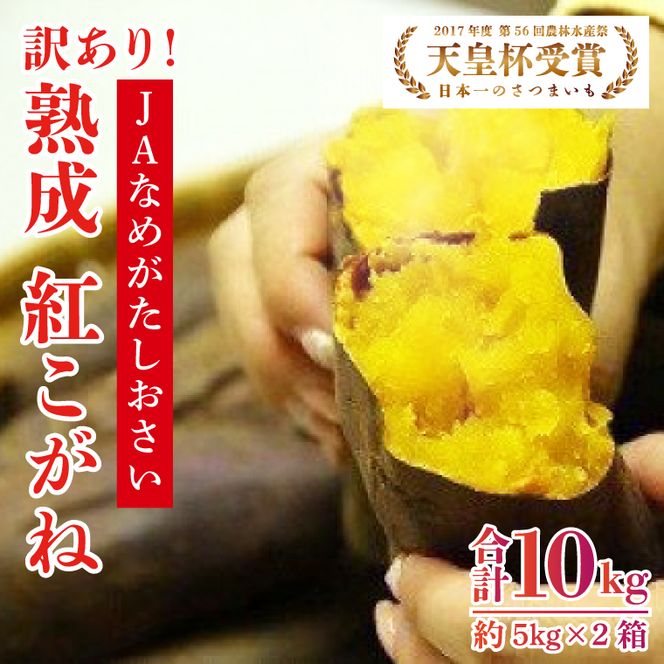 【訳あり】行方かんしょ「紅こがね」さつまいも約10kg（洗い・不揃い・C品）｜さつまいも 芋 わけあり 訳あり 焼芋 やきいも 紅こがね 茨城県 行方市 人気 送料無料(AE-109)