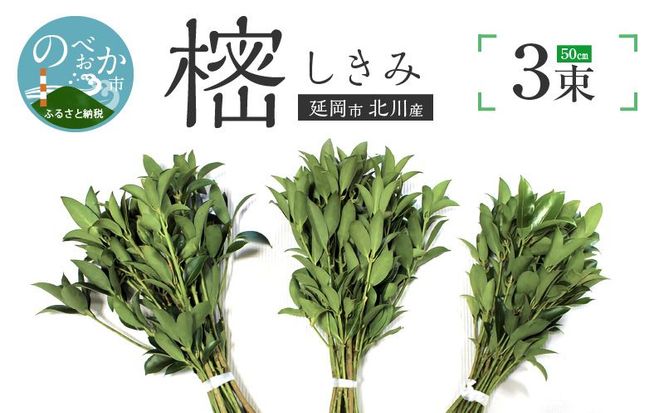 y{茧sz  50cm@N029-YA0147