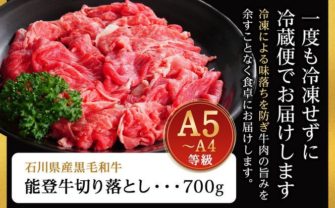 A5・A4ランク　石川県産　黒毛和牛　切り落とし700g　能登牛 172111_CD003
