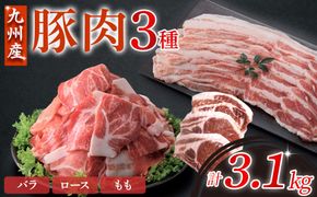【部位3種食べ比べ!!】【数量限定】九州産豚肉 3種セット 計3.1kg（ 国産 豚 豚肉 豚肉セット 豚肉小分け とんかつ 豚バラ 豚スライス 豚ロース 豚切り落とししゃぶしゃぶ 大容量 冷凍 ）