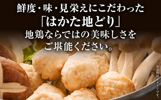 【ふるさと納税】はかた地どり 肉団子 選べる 1kg 福岡県産 地鶏 鶏肉 冷凍 国産 つくね  スープ 鍋 おうちごはん お取り寄せ グルメ ギフト おかず つまみ 惣菜