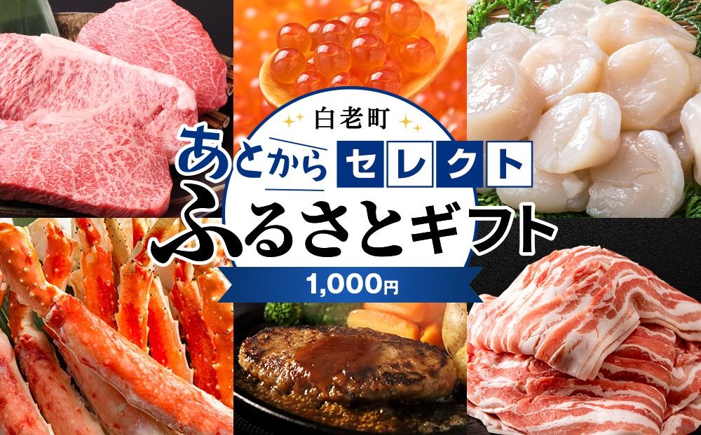 あとからセレクト [ふるさとギフト][1,000円分] [ASGFT001] イベントやチケッ
