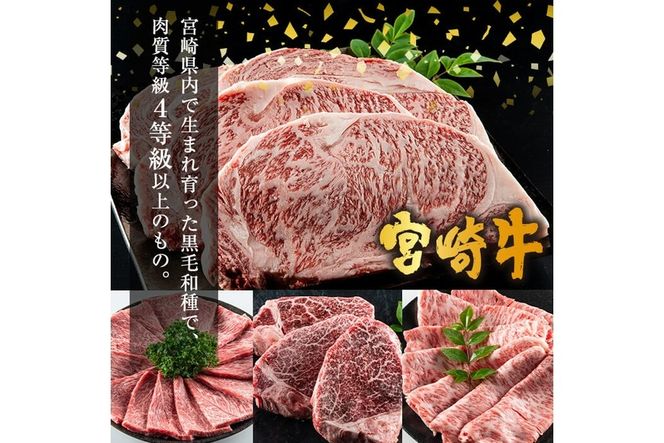 宮崎牛ロースステーキ(計500g・250g×2)お肉 牛肉 黒毛和牛 ブランド和牛 冷凍 国産 焼肉 BBQ【R-33】【ミヤチク】