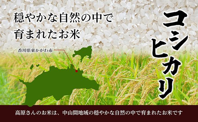 令和7年産香川県産コシヒカリ2kg（精米） お米 