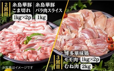 家族 で たっぷり！ ボリューム 満載 定期便全7回 （月1回） 4人用 【福岡 糸島産 牛肉 豚肉 鶏肉 切り落とし ミンチ ハンバーグ 餃子】 《糸島》 【糸島ミートデリ工房】 [ACA085]