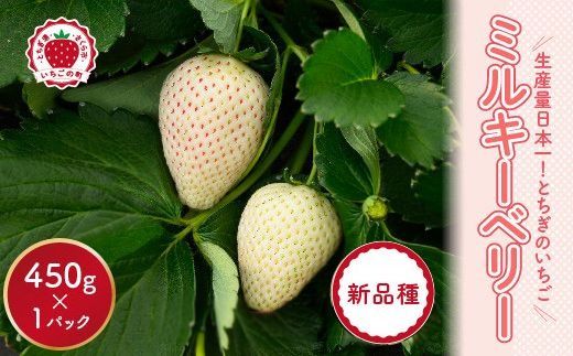 【先行予約】いちご ミルキーベリーセット 450g×1パック ※2026年1月中旬～4月中旬頃に順次発送予定