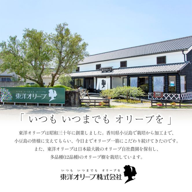 【 小豆島 】 オリーブ ハンドクリーム 6個セット 美容 クリーム 保湿 無香料 無着色 しっとり 東洋オリーブ 香川 香川県 土庄 土庄町
