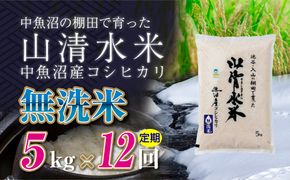 【定期便／全12回】無洗米5kg　新潟県魚沼産コシヒカリ「山清水米」十日町市 米