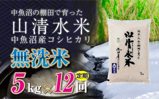 【定期便／全12回】無洗米5kg　新潟県魚沼産コシヒカリ「山清水米」十日町市 米