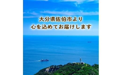 サンクイーン ドライフルーツ (24g×10袋) セット フルーツ 果物 柑橘 お菓子 数量限定 大分県産 特産品 大分県 佐伯市 常温 常温保存【DT22】【全国農業協同組合連合会大分県本部】