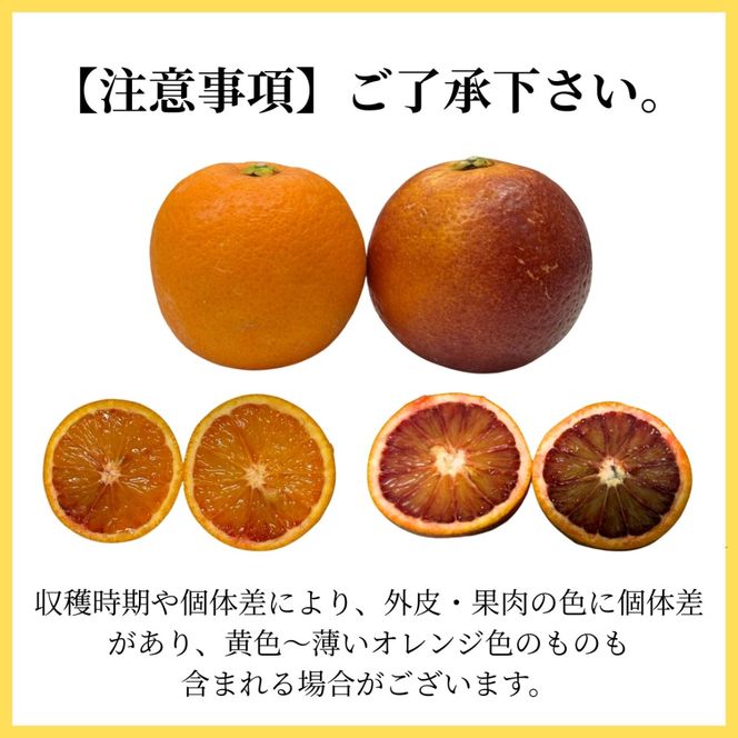 和歌山 有田 ブラッドオレンジ モロ 5kg DJ061