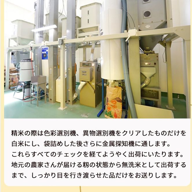 無洗米 5kg 京都丹波産 キヌヒカリ ※受注精米《米 白米 きぬひかり 5kg ふるさと納税 無洗米 大嘗祭供納品種》 ※北海道・沖縄・離島への配送不可