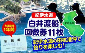 白井渡船回数券 利用券11枚組 白井渡船《30日以内に出荷予定(土日祝除く)》和歌山県 日高町 紀伊水道 田杭港沖 回数券 レジャー 釣り 乗船---iwsh_strk_90d_22_134000_11p---